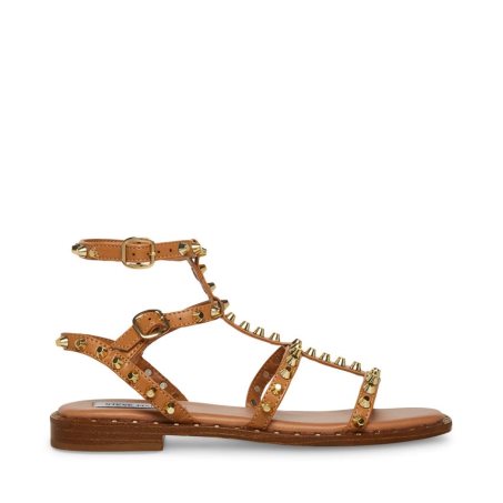 Brown Steve Madden Sunnie Women's Flat Sandals | PH 7524WXL